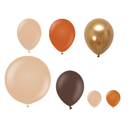 15 ballons mix terra- 12 cm