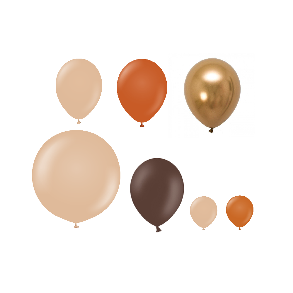 15 ballons mix terra- 12 cm